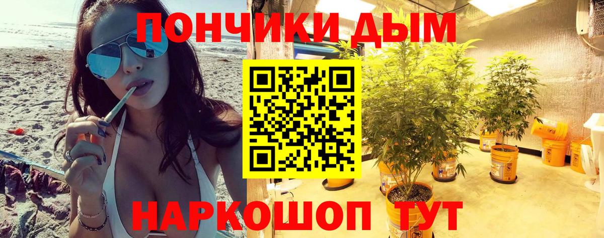 Конопля OG Kush  МАРИХУАНА планчик  Бошки Шишки сатива  Севастополь  Вход с VPN  Бошки марихуана SATIVA & INDICA 